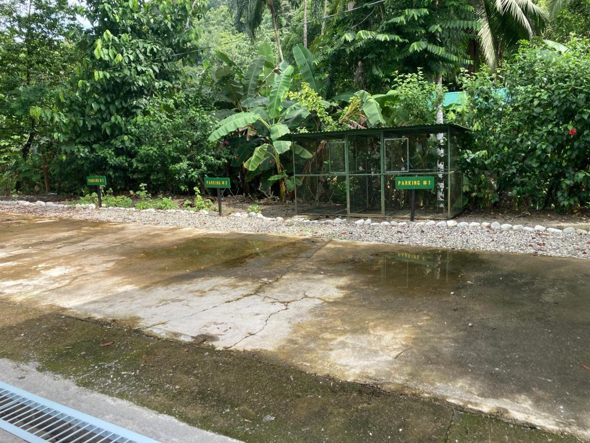 Yejos Jungle Lodge Dos Brazos Exterior photo