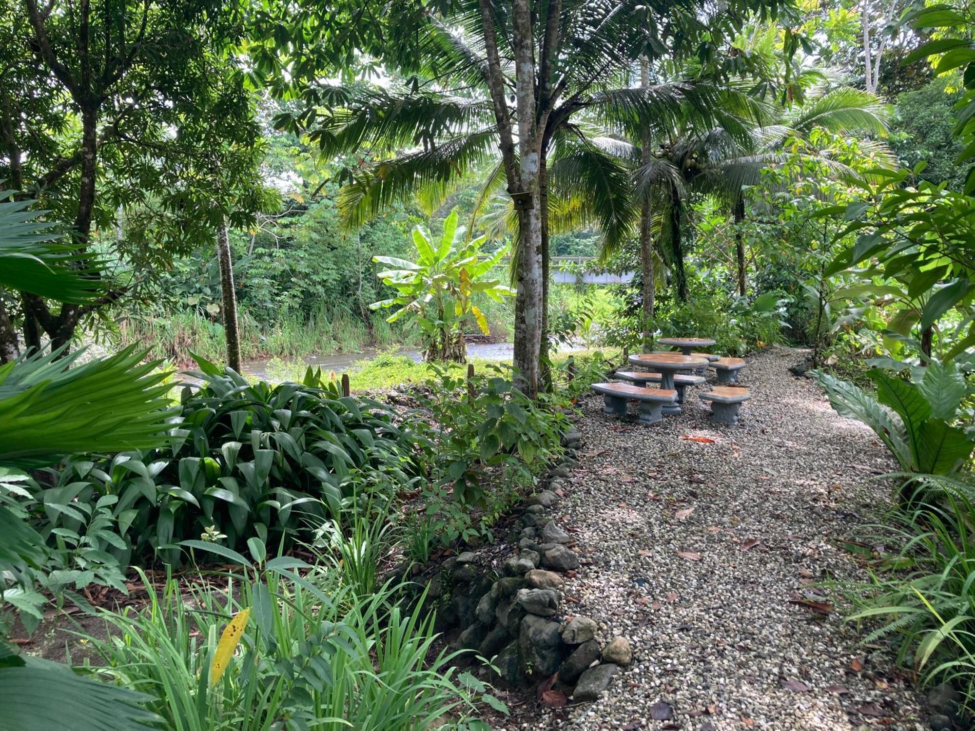 Yejos Jungle Lodge Dos Brazos Exterior photo