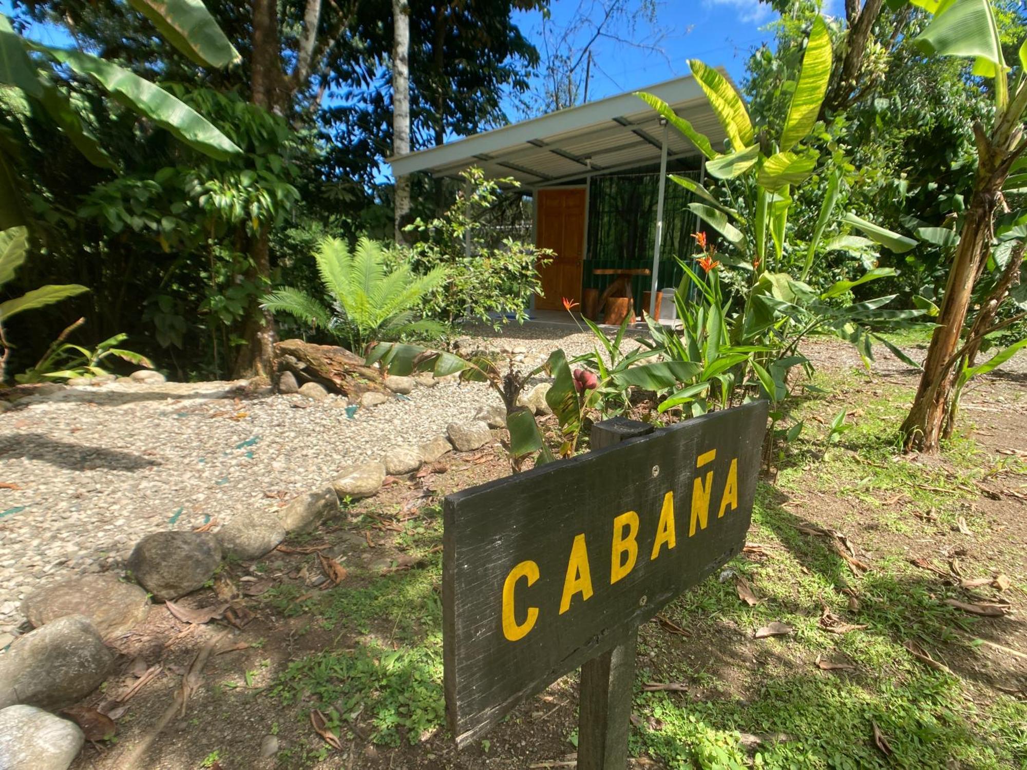 Yejos Jungle Lodge Dos Brazos Exterior photo